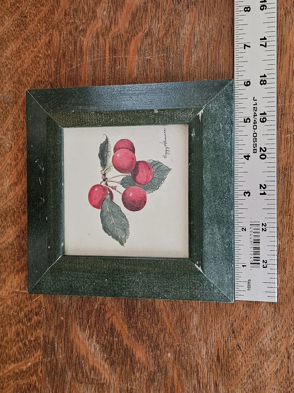 Vintage Peggy Abrams Fruit Prints Set of 3 Green Frames Cottagecore